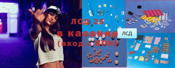 тгк Инсар