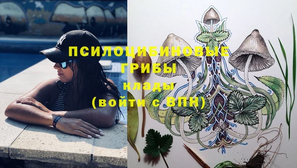 стафф Алексеевка