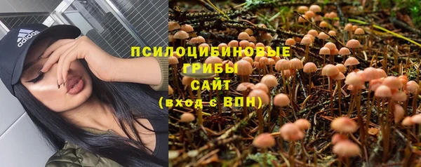 стафф Алексеевка