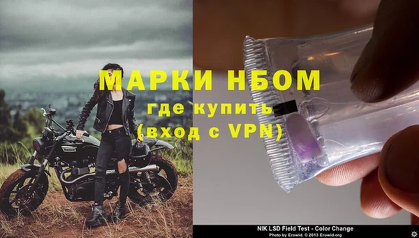 PSILOCYBIN Инта
