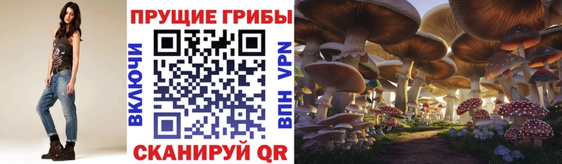 Псилоцибиновые грибы мухоморы  цены наркотик  Киреевск 