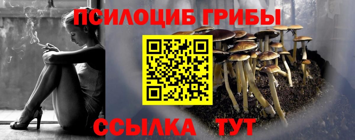 Киреевск  Псилоцибиновые грибы GOLDEN TEACHER  Псилоцибиновые грибы мухоморы  Вход с VPN 
